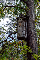 Similar image 21356020