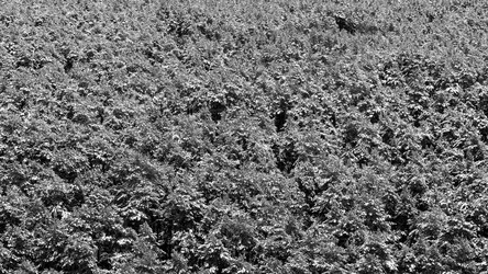 Similar image 21356021