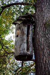 Similar image 21356022