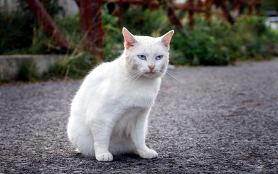 Similar image 21356027