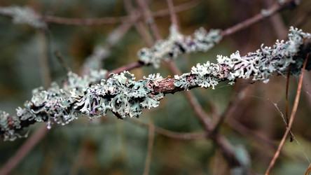 Similar image 21356029