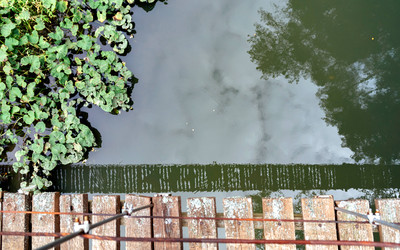 Similar image 21356050