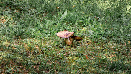 Similar image 21356056