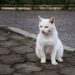 Similar image 21356073