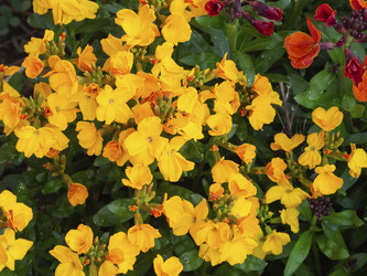 Similar image 21354144