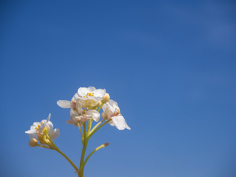 Similar image 21354146