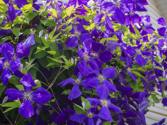 Similar image 21354151