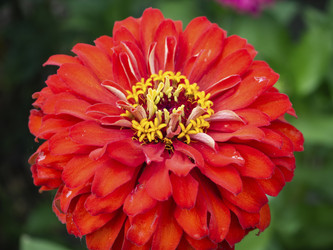 Similar image 21354152