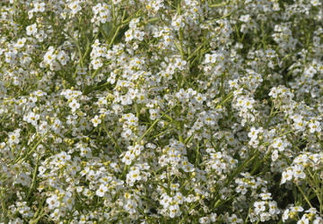 Similar image 21354155