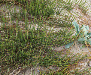 Similar image 21354156