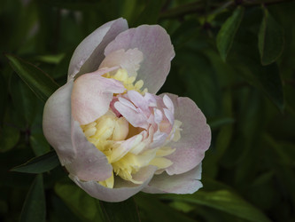 Similar image 21354157