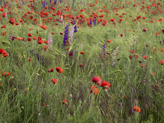 Similar image 21354158