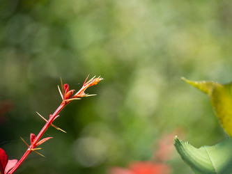 Similar image 21354159