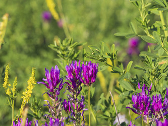 Similar image 21354161