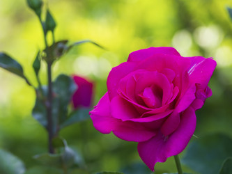 Similar image 21354162