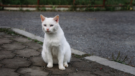 Similar image 21356074