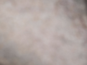 Similar image 21354163