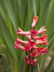 Similar image 21354164