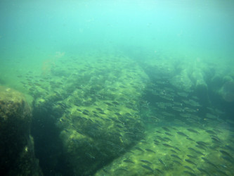 Similar image 21355370