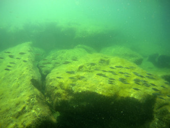 Similar image 21355371