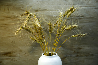 Similar image 21356329