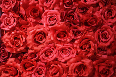 Similar image 21356332