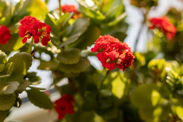 Similar image 21354366