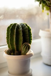 Similar image 21354368