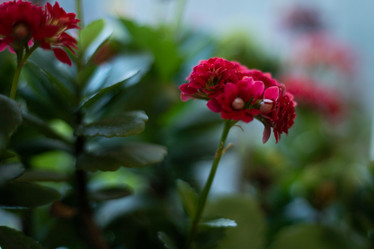 Similar image 21354369