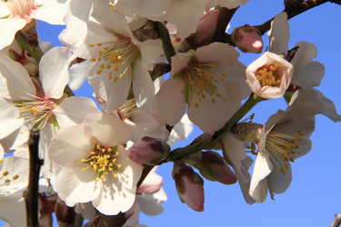 Similar image 21355386