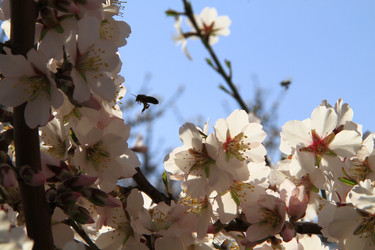 Similar image 21355387