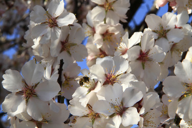 Similar image 21355388