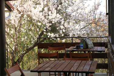 Similar image 21355389