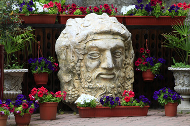 Similar image 21355390