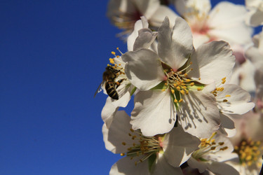 Similar image 21355391