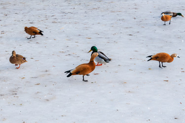 Similar image 21356012