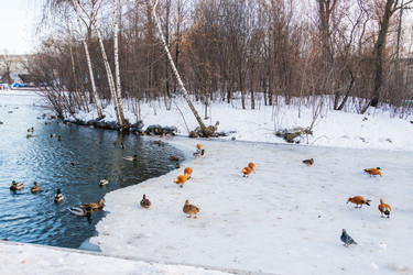 Similar image 21356013