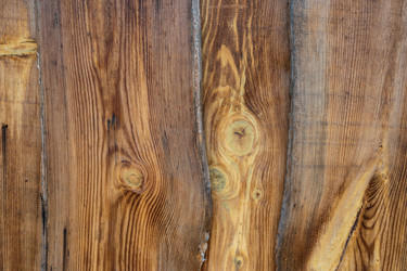 Similar image 21355543