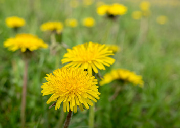 Similar image 21355544