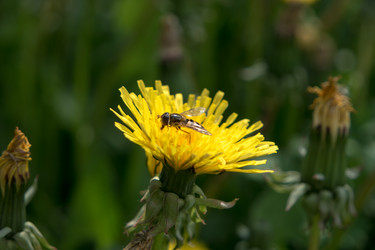 Similar image 21355548