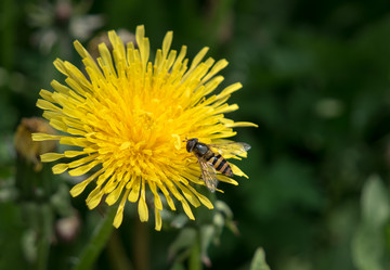 Similar image 21355549