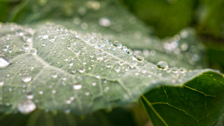 Similar image 21355553