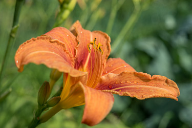 Similar image 21355555