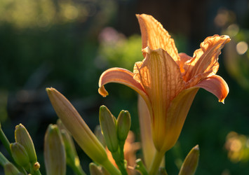 Similar image 21355556