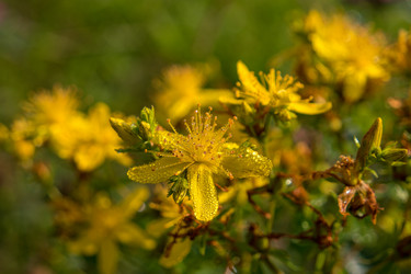 Similar image 21355557