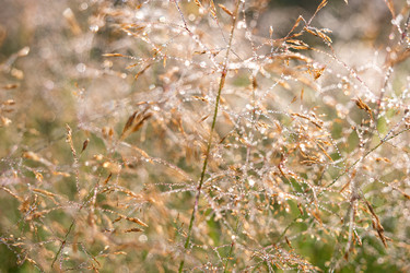 Similar image 21355558