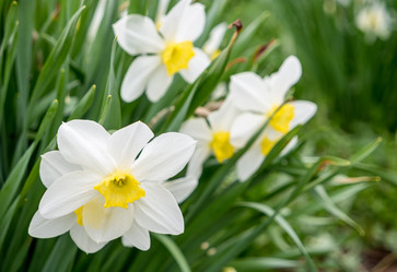 Similar image 21355559