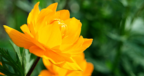 Similar image 21355561