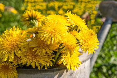 Similar image 21355622