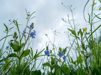 Similar image 21355623